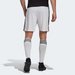 Spodenki piłkarskie męskie Squadra 21 Adidas - white/black