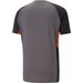 Koszulka męska Dyna-Mix Tee Cool Puma