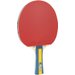 Rakieta do tenisa stołowego Team Master Joola