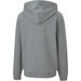 Bluza juniorska teamGOAL 23 Casuals Hoody Puma - szara