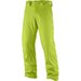 Spodnie narciarskie męskie Stormrace Salomon - limonkowe