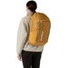 Plecak Black Hole Pack Logo 32L Patagonia - Pufferfish Gold w/Beeswax Tan