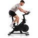 Rower spinningowy Speed Race X Hammer
