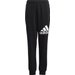 Spodnie dresowe juniorskie Essentials Regular Fit Big Logo Adidas