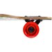 Deskorolka longboard Wood Homeland Nils - Szkielet