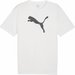 Koszulka męska teamRISE Logo Jersey Cotton Puma - White