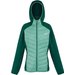 Kurtka damska Andreson VIII Regatta - dusty green/rain forest