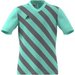 Koszulka juniorska Entrada 22 Graphic Jersey Adidas - seledynowa