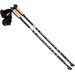 Kije do nordic walking Long Life SMJ