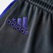 Spodenki męskie Predator Training Adidas