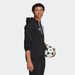 Bluza męska Entrada 22 Hoodie Adidas - czarna