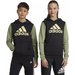 Bluza juniorska Essentials Big Logo Colorblock Adidas - czarno-zielona