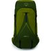 Plecak Atmos AG LT 65L Osprey - Scenic V./Green P.