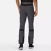 Spodnie trekkingowe męskie Mountain Trs III Regatta - seal grey/black