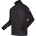 Bluza polarowa męska Elson II Regatta - Ash/Black