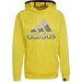Bluza męska Aeroready Game and Go Big Logo Hoodie Adidas - żółta