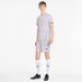 Koszulka męska Goal Jersey Puma - szara