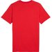 Koszulka męska AC Milan ftblNRGY Tee Puma - For All Time Red
