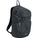Plecak Prism 35L Regatta - ash