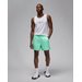 Spodenki męskie Essentials Poolside-Shorts Jordan - Emerald Rise/White
