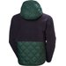 Kurtka męska Stowe Hooded Hybrid Helly Hansen - jungle green