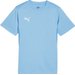 Koszulka juniorska teamGoal Jersey Jr Puma - Light Blue