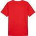 Koszulka męska TeamRise Matchday Jersey Puma - Red