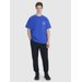 Koszulka męska TTSHM1979 4F - kobalt