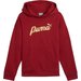 Bluza juniorska Ess+ Script Metallic Hoodie Puma