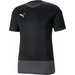 Koszulka męska teamGOAL 23 Training Jersey Puma - czarna