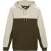 Bluza męska ESS+ Block Hoodie Puma - zielony