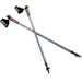 Kije nordic walking Neatness II Spokey - grey