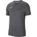 Koszulka męska Dri-FIT Park 20 Tee Nike - szary