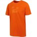 Koszulka męska Cline VIII Regatta - Rusty Orange