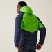 Kurtka puchowa męska Hooded Dalent Regatta - green flash/navy