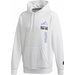 Bluza męska Space Hoodie Adidas