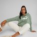 Bluza Ess Cropped Logo Hoodie FL Puma