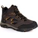 Buty trekkingowe Holcombe IEP Mid Regatta - peat/inca gold