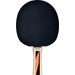 Rakietka do tenisa stołowego Top Team 600 Donic Schildkrot