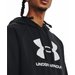 Bluza męska Rival Fleece Logo HD Under Armour - black