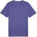 Koszulka męska Graphics Icon Tee Puma - Blue Crystal