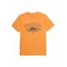 Koszulka męska 4FWSS24TTSHM1321 4F - pomarańcz
