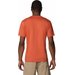Koszulka męska Rapid Ridge Graphic Tee Columbia - Tuscan/Heavenly Stacked Gem