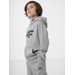 Bluza chłopięca HJZ22 JBLM002 4F - szara