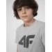 Koszulki chłopięce 4FJSS23TTSHM293 2szt 4F - szara/szara
