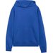 Bluza męska TSWSM1749 4F - kobalt