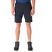 Spodenki męskie Momentum Shorts Rab - Beluga