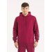 Bluza męska Tape Nugget Hooded Sweatshirt Pitbull West Coast - burgundy