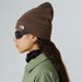 Czapka Norm Beanie The North Face - Smokey Brown