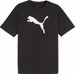Koszulka męska teamRISE Logo Jersey Cotton Puma - Black